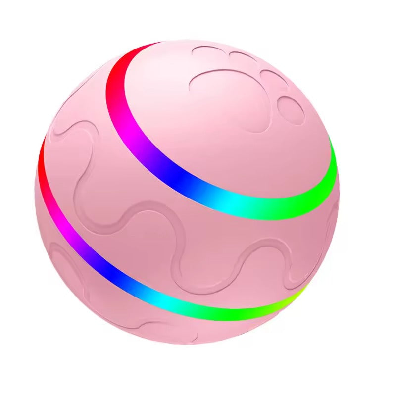 Automatic Dog Ball