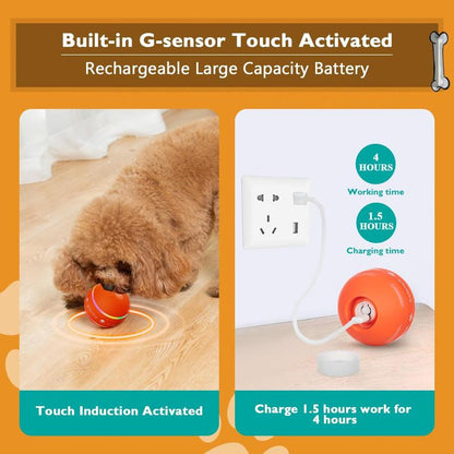 Automatic Dog Ball