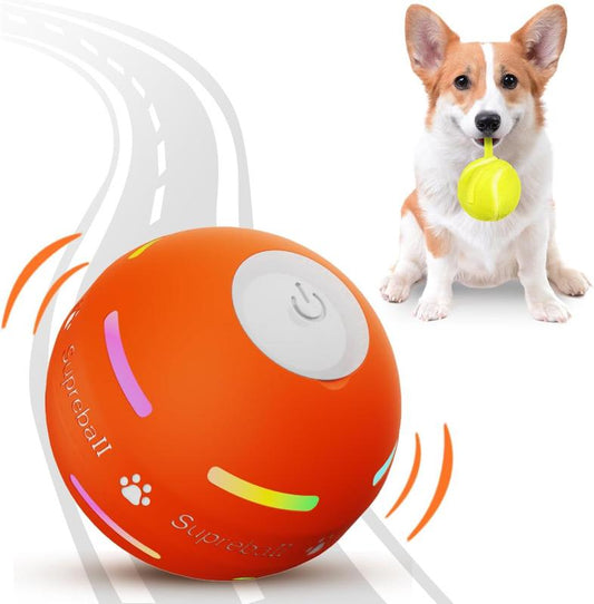 Automatic Dog Ball